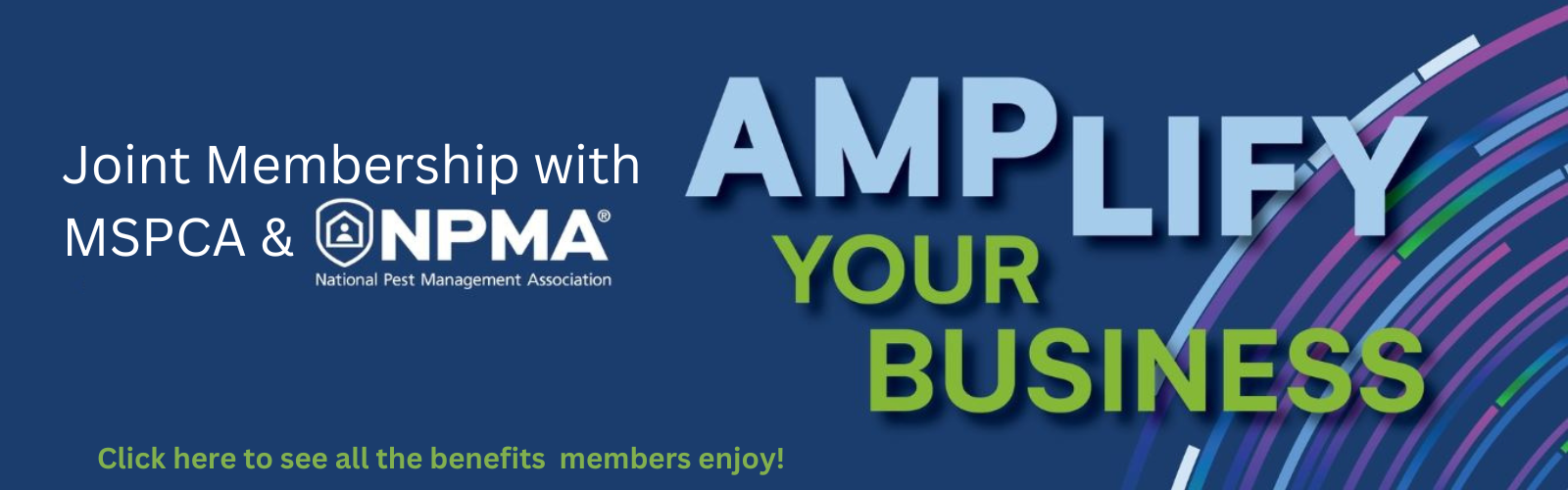 Amplify Your Business