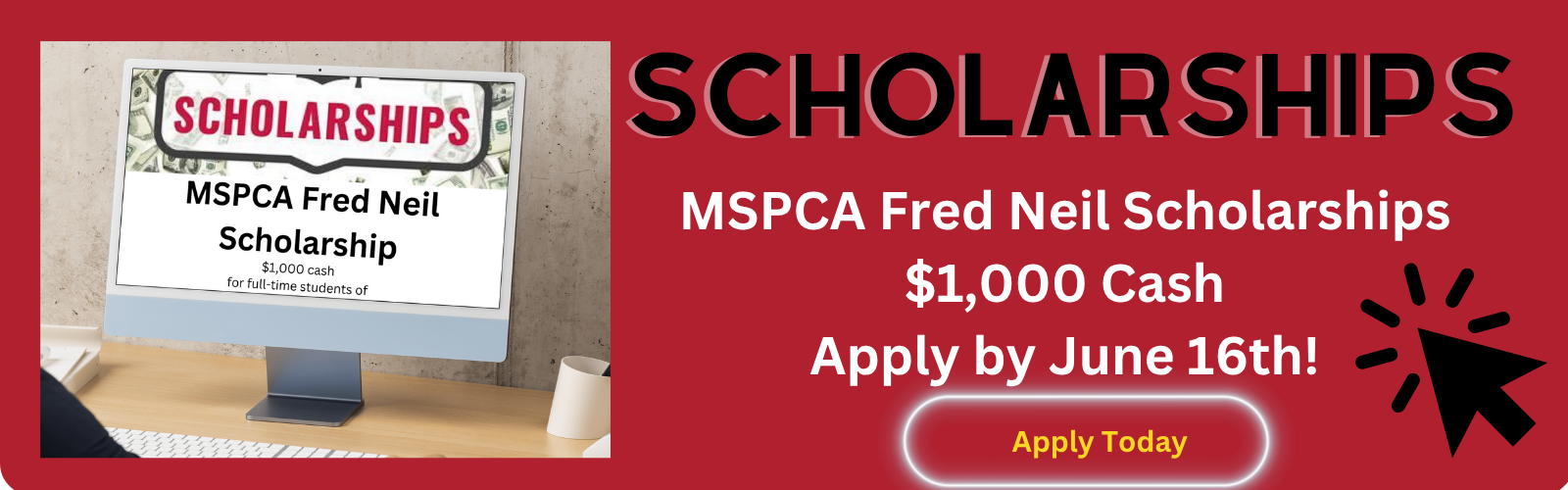 Scholarship Banner