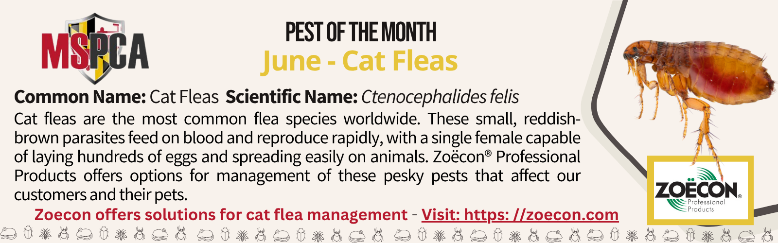 June POTM _Cat Fleas_Zoecon