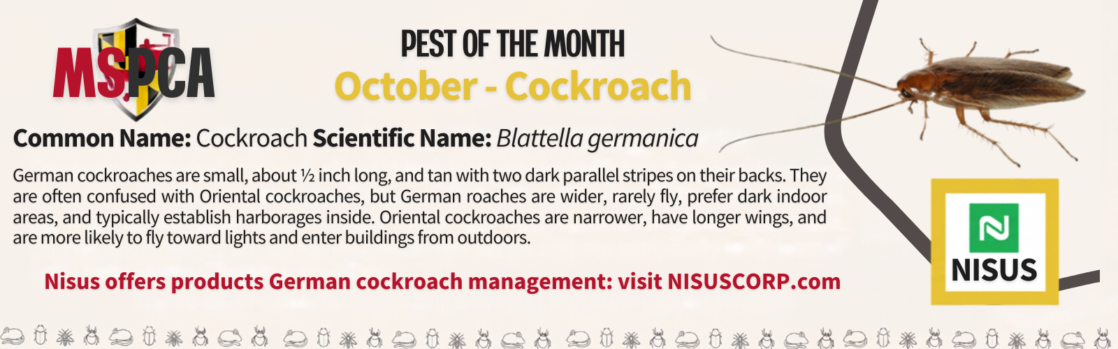 POTM October Cockroach Banner