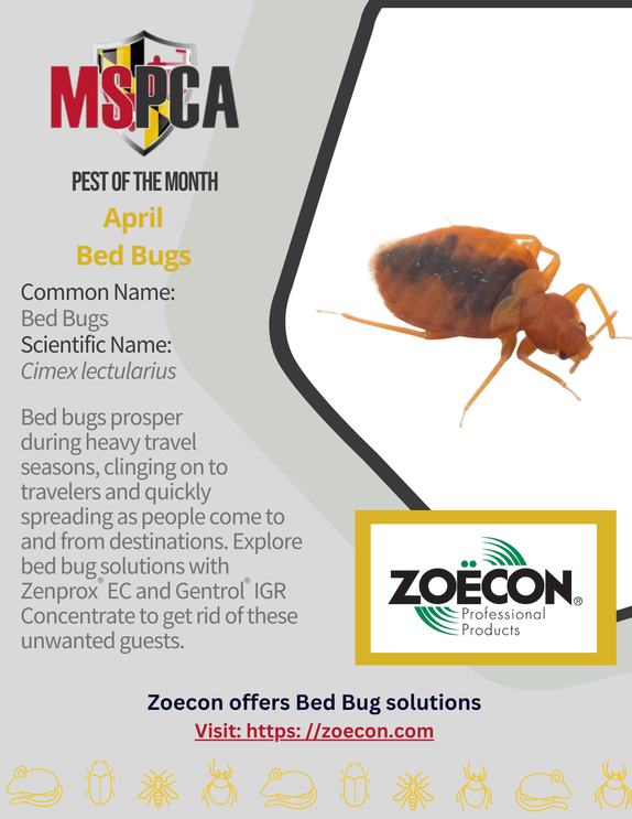 POTM Bed Bugs April 2026