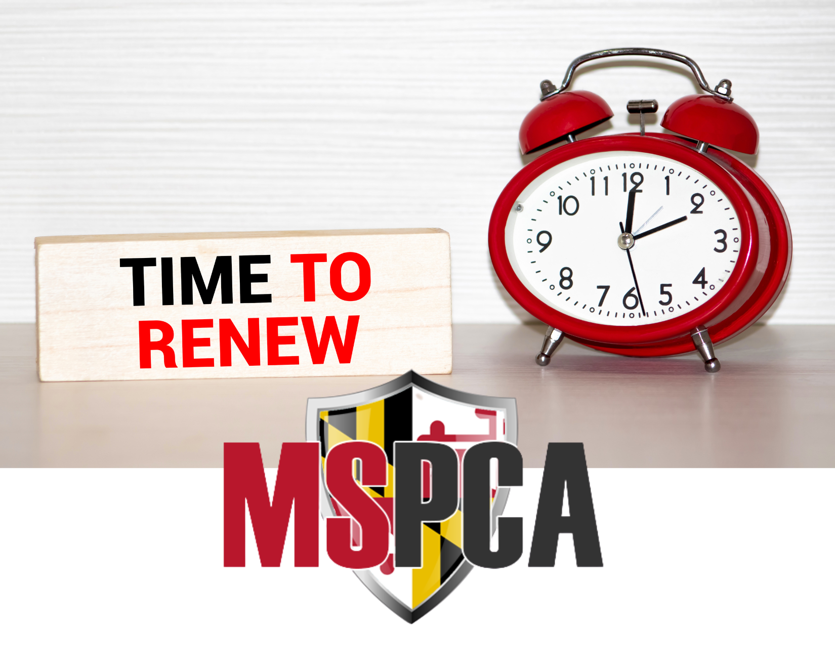 Renewal Season is Here – Stay Connected, Stay Supported