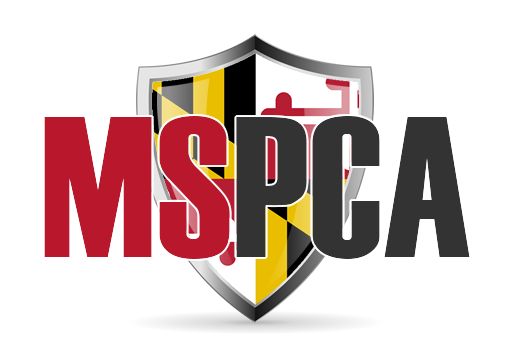 Call for Speakers for the 2027 IPMC